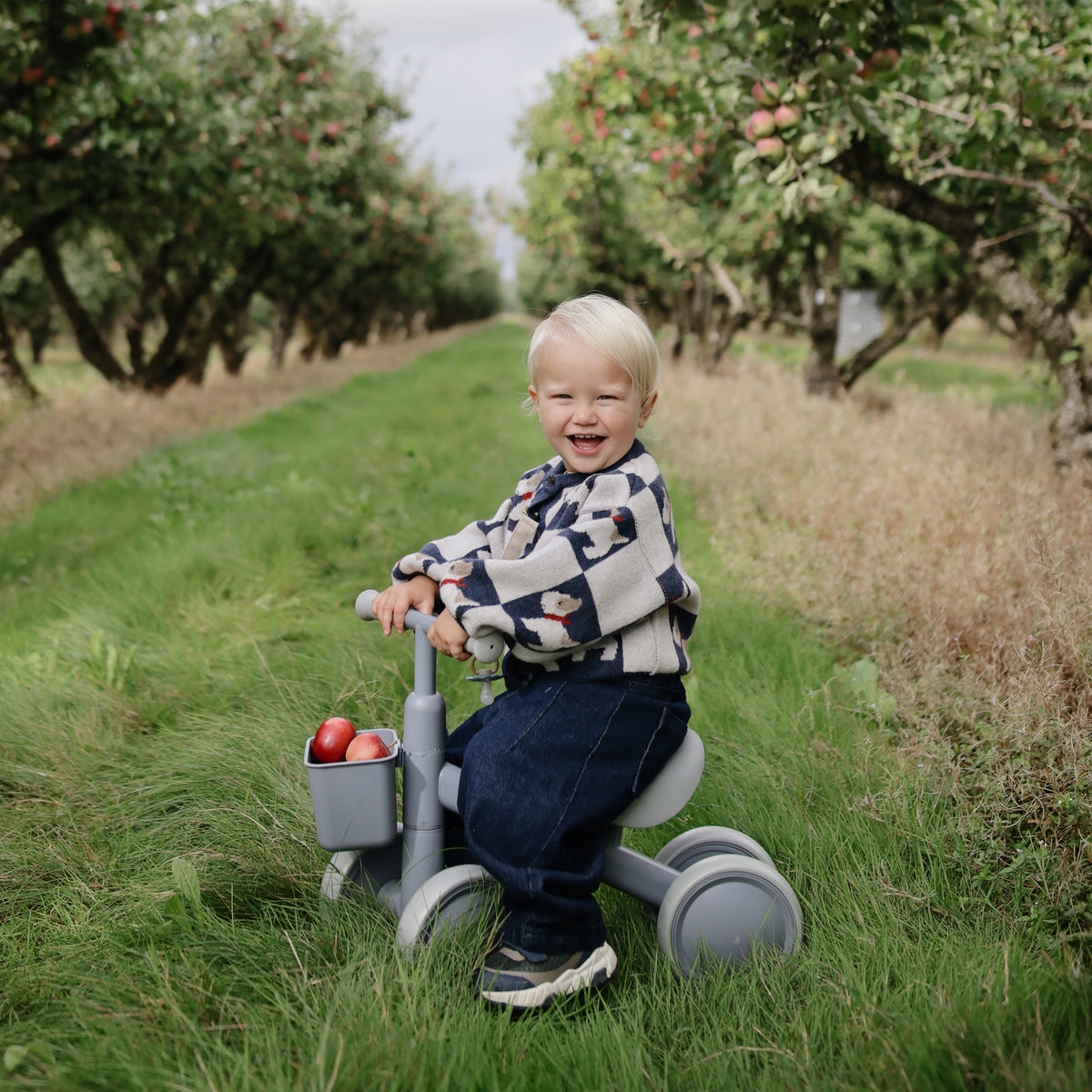 A toddler riding a small gray mushie Mini Toddler Bike filled with apples in an orchard.