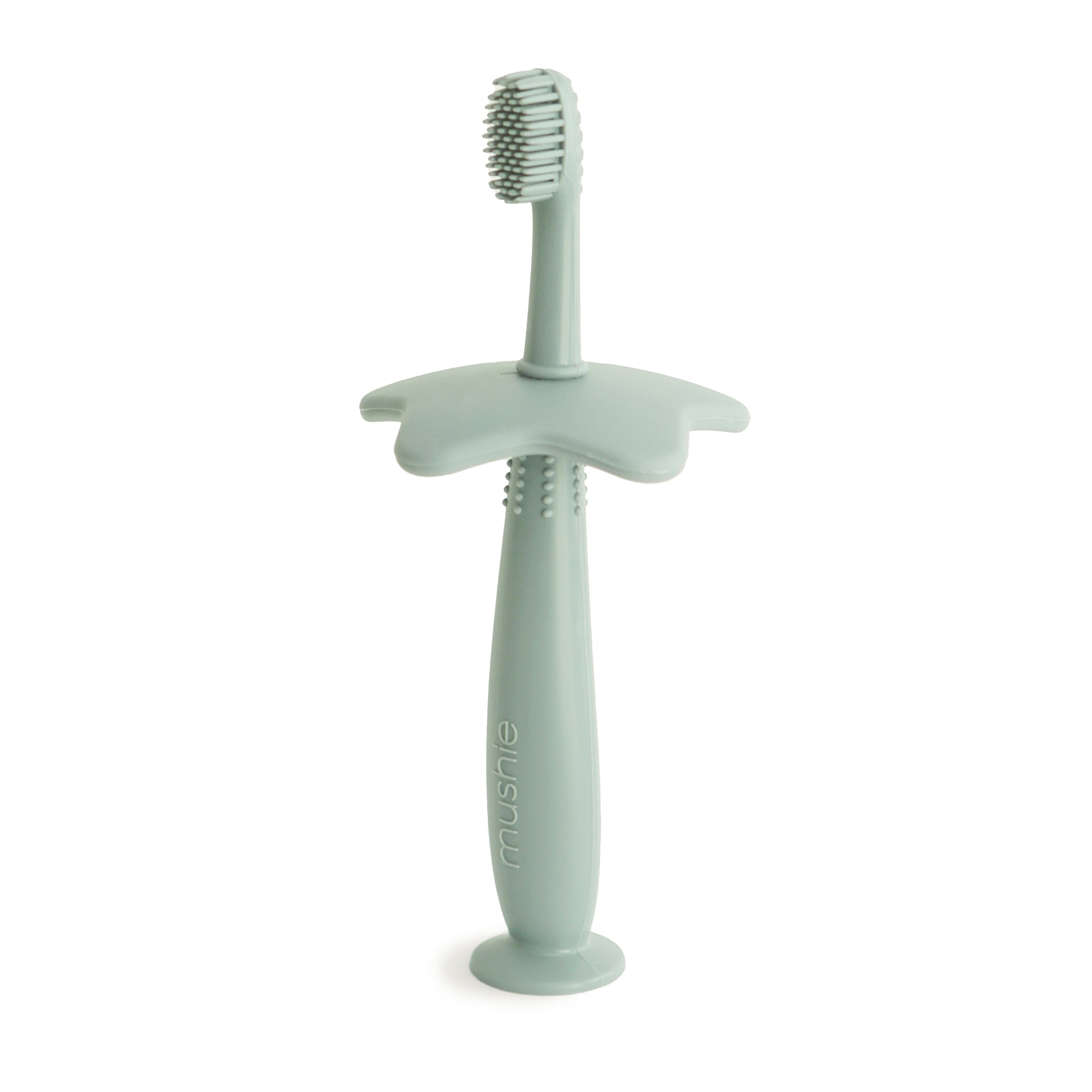 Star Training Toothbrush