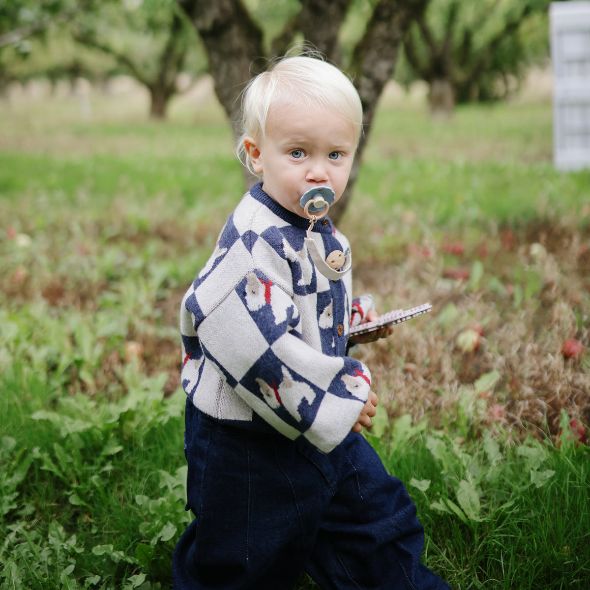 Toddler with FRIGG Daisy Silicone Pacifier holds a notepad in an orchard with fallen apples.