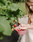 A young girl picks strawberries and puts them into a mushie Square Dinnerware Bowl in the garden.