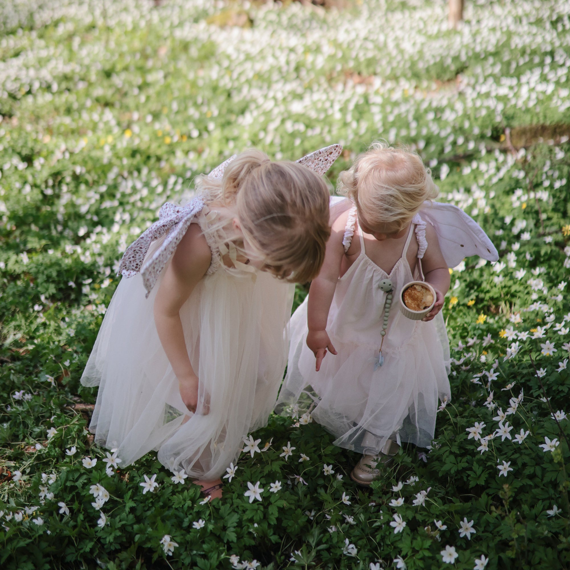 Two young children in white dresses and wings explore a field of white blooms. One child, focused on baby’s comfort, holds a FRIGG Butterfly Anatomical Silicone Pacifier 2-Pack (0-6 Months) by FRIGG like a precious treasure.