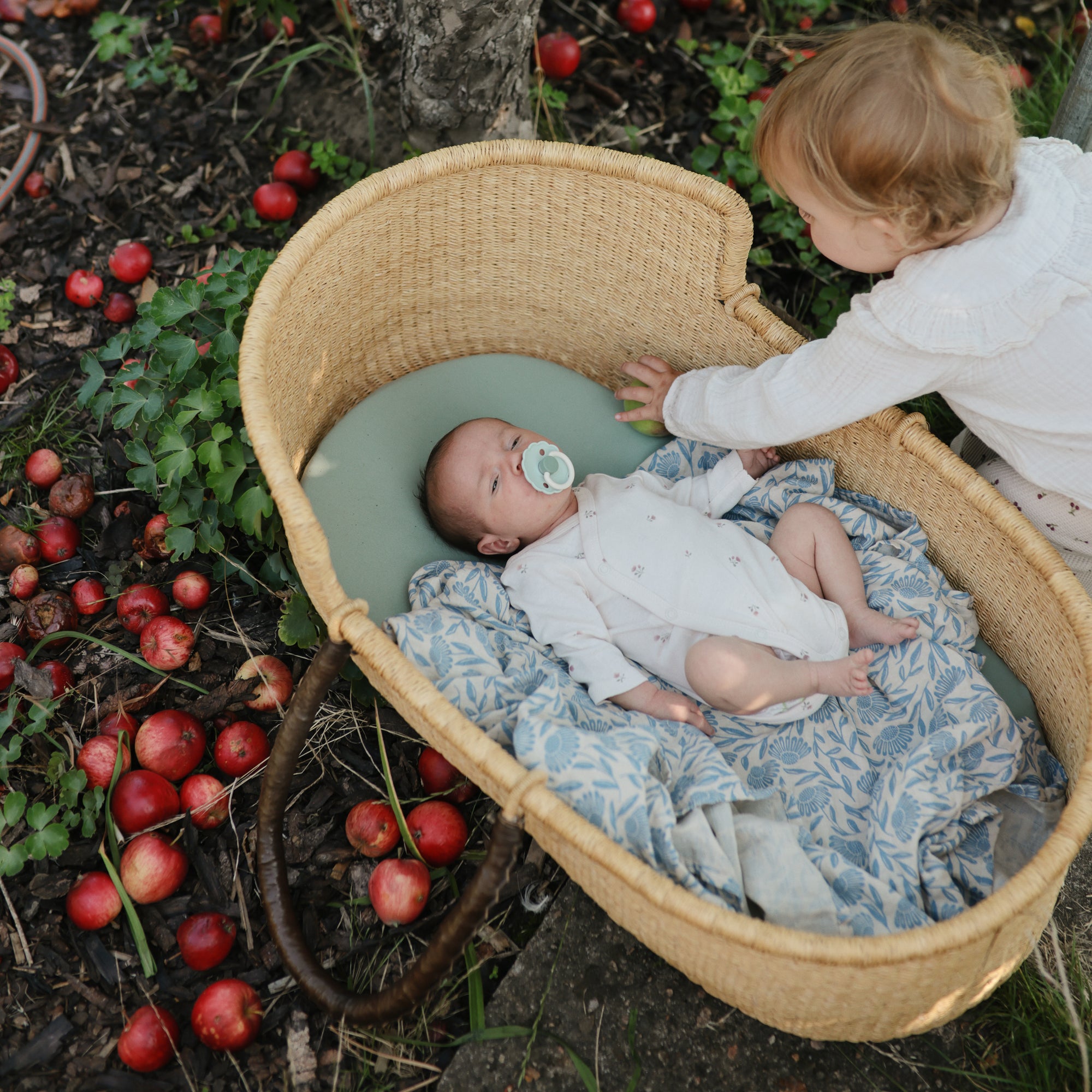 A baby in a basket with a mushie Organic Cotton Muslin Swaddle; apples scattered; toddler reaching.