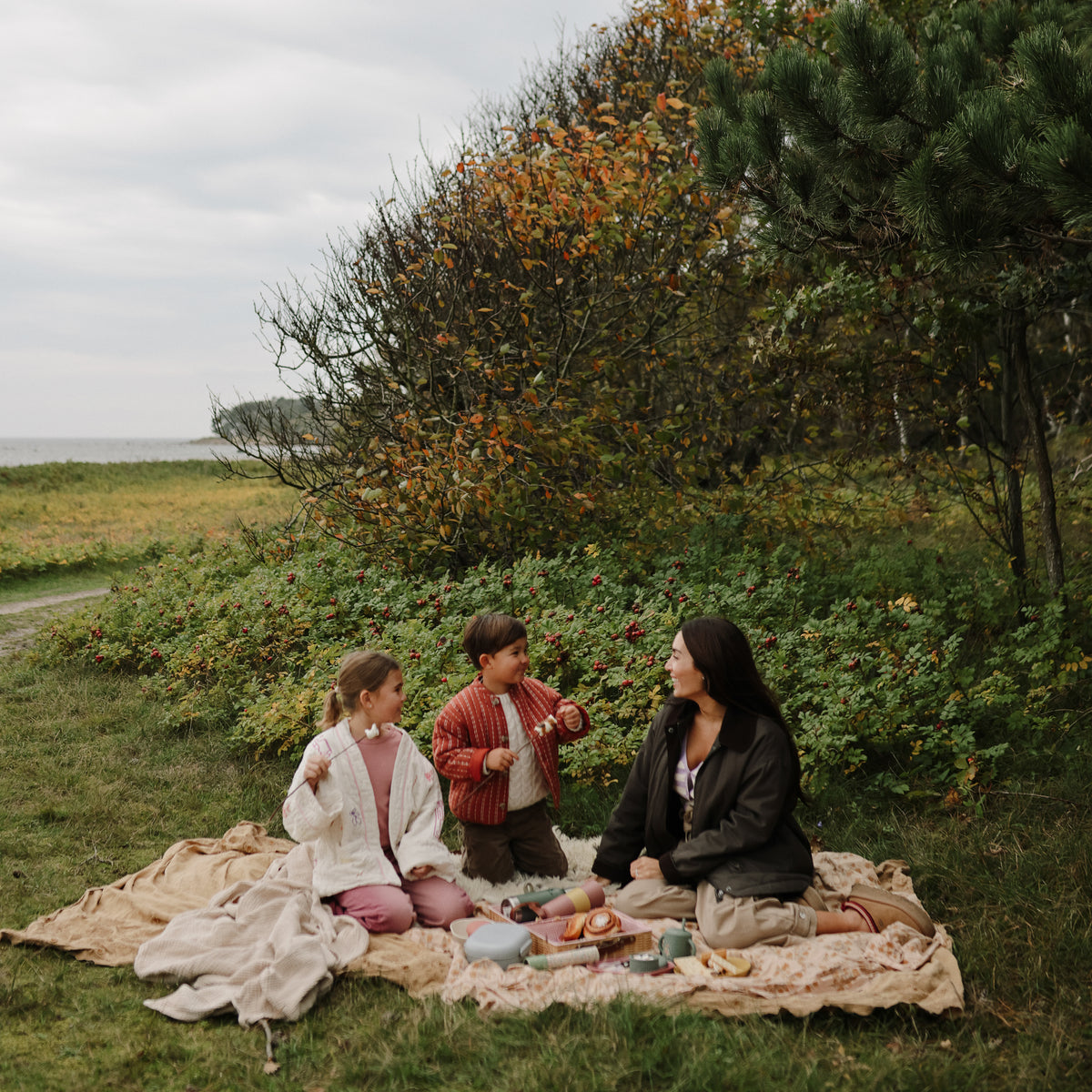 A woman and two children having a picnic with a mushie lunchbox on an outdoor blanket.