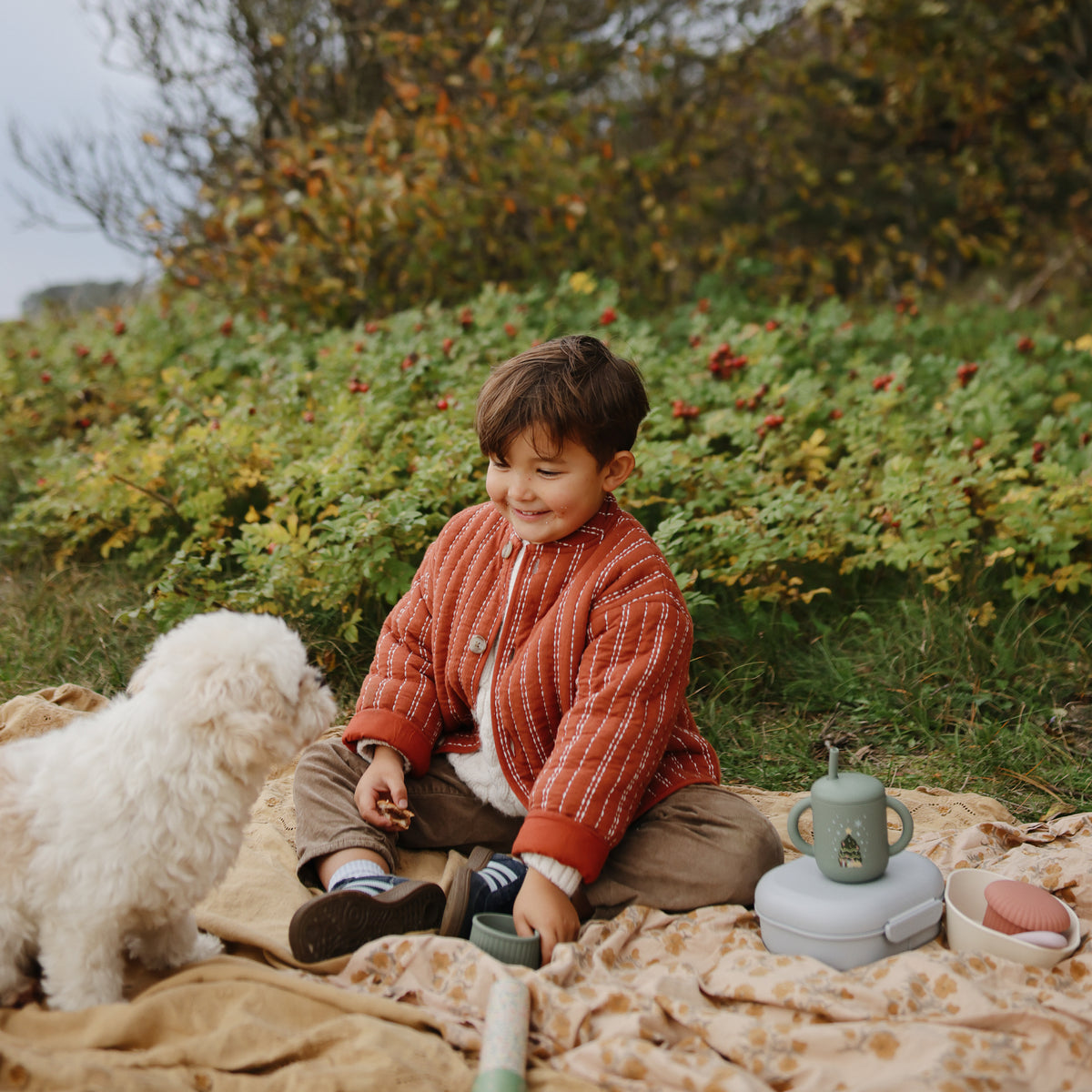 A child sits on an outdoor blanket with a small white dog and a mushie lunchbox.