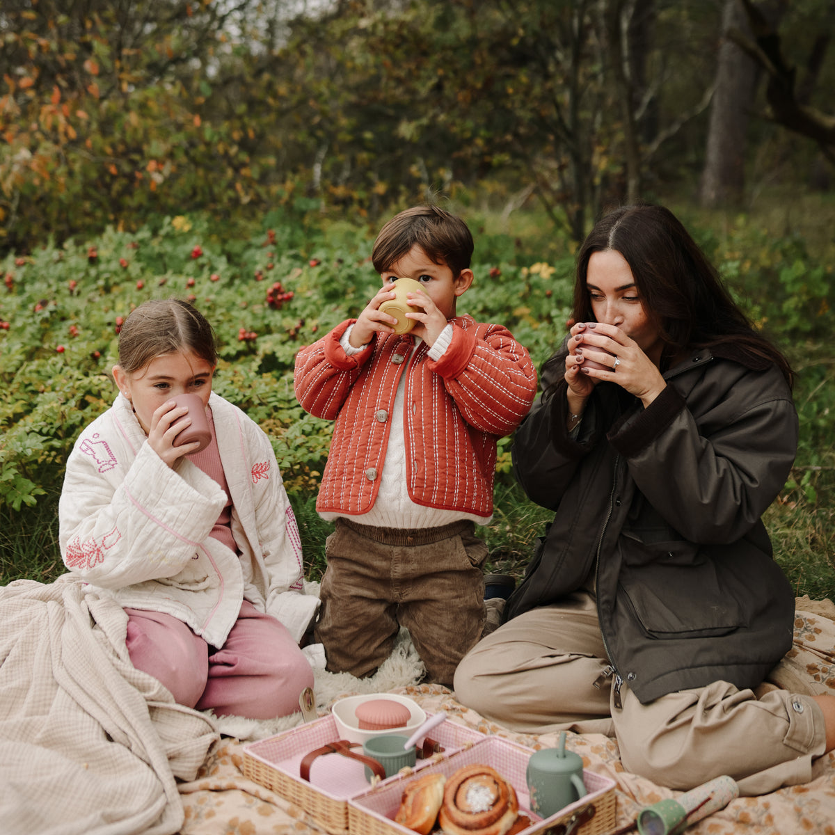 A mother and two children sit on a picnic blanket drinking from Mushie silicone food containers.