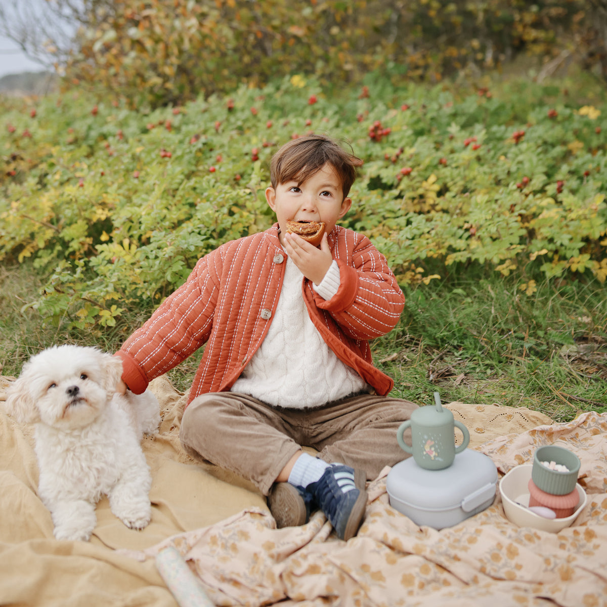 A child and white dog sit on a blanket with a mushie Square Dinnerware Bowls set.